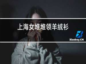上海女堆堆领羊绒衫