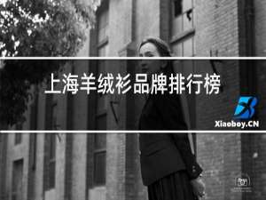 上海羊绒衫品牌排行榜