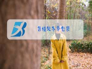 售楼处冬季包装