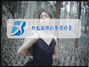 什么品牌的冬装好看