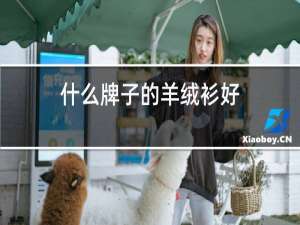 什么牌子的羊绒衫好