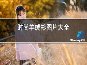 时尚羊绒衫图片大全