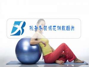 税务冬装领花佩戴图片