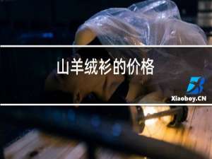 山羊绒衫的价格