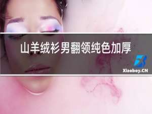 山羊绒衫男翻领纯色加厚毛衣