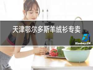 天津鄂尔多斯羊绒衫专卖店