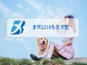 唐狮2018冬装男款