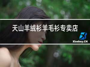 天山羊绒衫羊毛衫专卖店和田