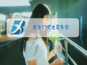 武警07式迷彩冬装