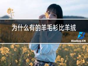 为什么有的羊毛衫比羊绒衫贵