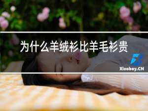 为什么羊绒衫比羊毛衫贵