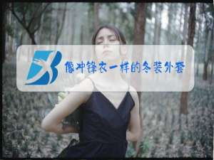 像冲锋衣一样的冬装外套叫什么