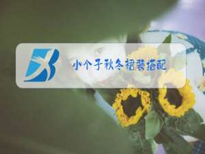 小个子秋冬裙装搭配