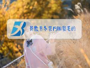 新款男冬装内胆貂毛的