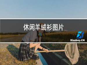 休闲羊绒衫图片