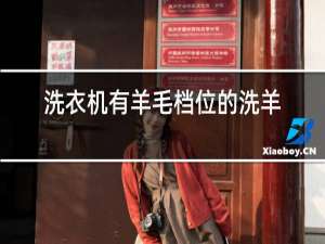 洗衣机有羊毛档位的洗羊绒衫会不会缩水