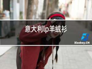 意大利lp羊绒衫