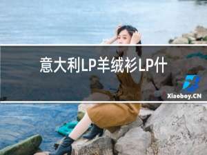 意大利LP羊绒衫LP什么意思