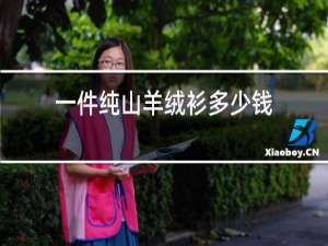 一件纯山羊绒衫多少钱