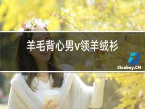 羊毛背心男v领羊绒衫