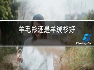 羊毛衫还是羊绒衫好