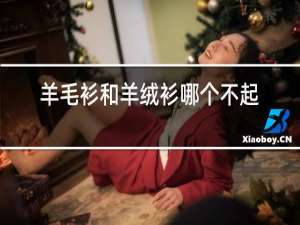 羊毛衫和羊绒衫哪个不起球