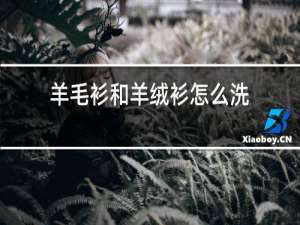 羊毛衫和羊绒衫怎么洗