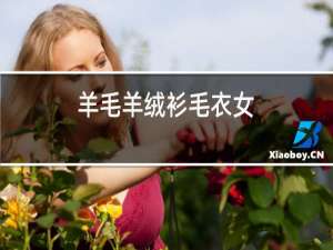 羊毛羊绒衫毛衣女