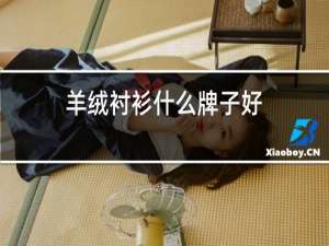 羊绒衬衫什么牌子好