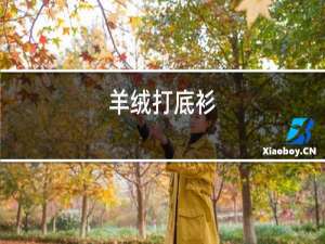 羊绒打底衫