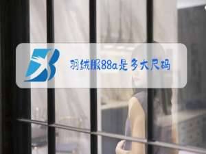 羽绒服88a是多大尺码