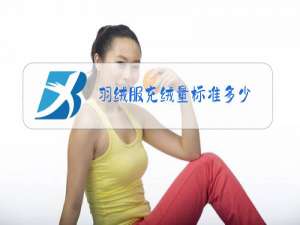 羽绒服充绒量标准多少