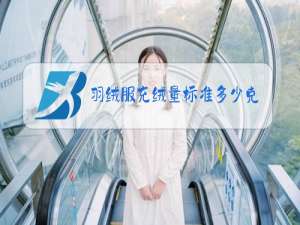 羽绒服充绒量标准多少克