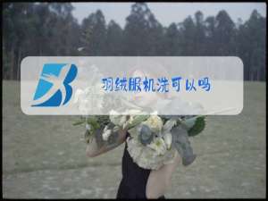 羽绒服机洗可以吗
