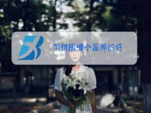 羽绒服哪个品牌的好