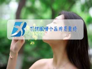 羽绒服哪个品牌质量好