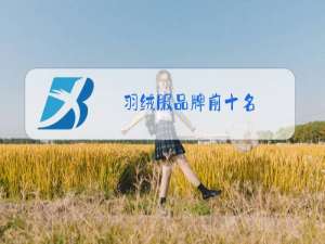羽绒服品牌前十名