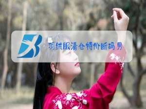 羽绒服清仓特价断码男