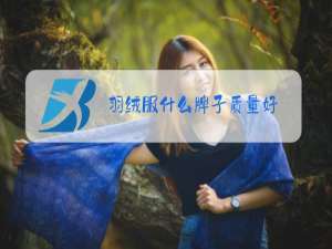 羽绒服什么牌子质量好