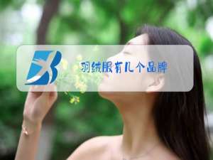 羽绒服有几个品牌