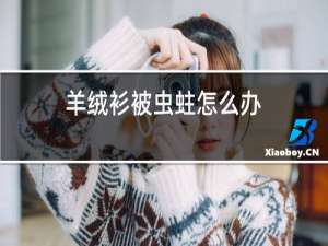 羊绒衫被虫蛀怎么办