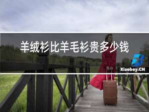 羊绒衫比羊毛衫贵多少钱