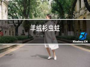 羊绒衫虫蛀