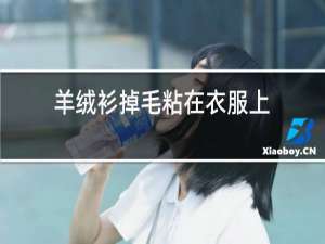 羊绒衫掉毛粘在衣服上