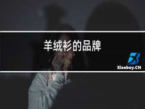 羊绒衫的品牌