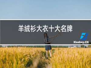 羊绒衫大衣十大名牌