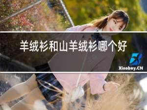 羊绒衫和山羊绒衫哪个好