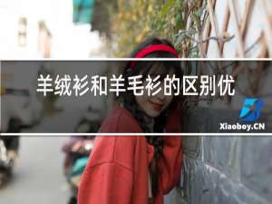 羊绒衫和羊毛衫的区别优点