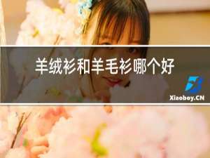 羊绒衫和羊毛衫哪个好