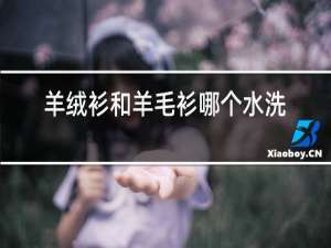 羊绒衫和羊毛衫哪个水洗缩水